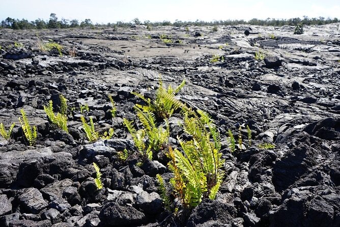 Big Island Hawaii Volcano Day tour from Honolulu and Hotel PU - Convenient Flight and Hotel Pickup for Oahu Visitors
