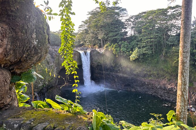 Big Island Highlights Tour From Kona and Waikoloa - Starting the Day at Hmkua Macadamia Nut Company