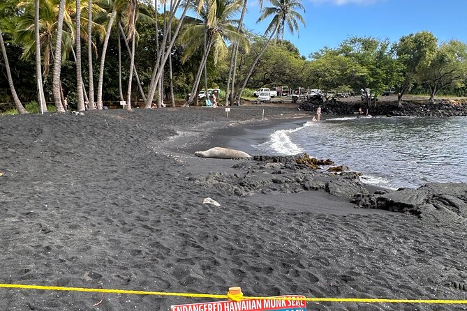 Big Island Highlights Tour From Kona and Waikoloa - Akaka Falls State Park: Rainforest and Cascades