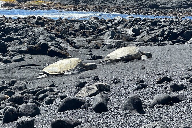 Big Island Highlights Tour From Kona and Waikoloa - The Vibrant Hilo Farmers Market