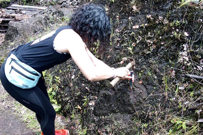 Big Island Jungle Tour with Banana and Guava Green Tea - Discover the Big Island Jungle Tour with Banana and Guava Green Tea for Just $30