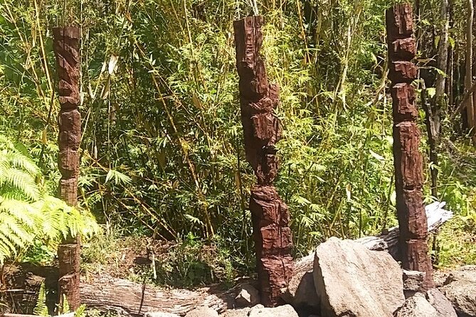 Big Island Jungle Tour with Banana and Guava Green Tea - Exploring Lava Rock Sculptures and Mount Rastamore