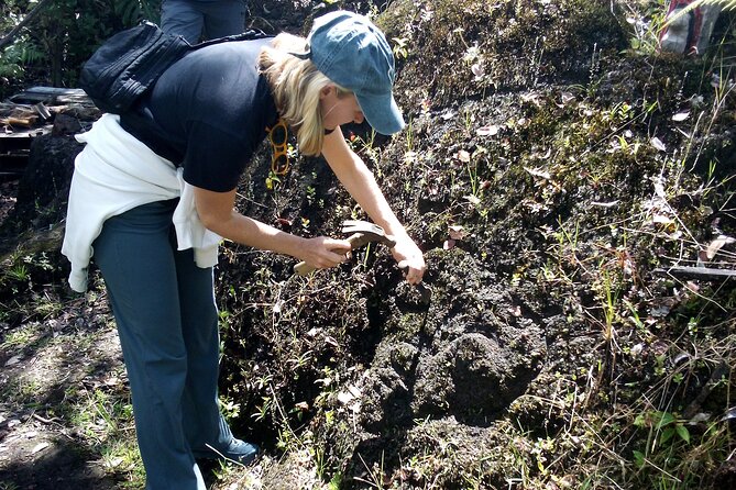 Big Island Jungle Tour with Banana and Guava Green Tea - Visiting the Tropical Garden with Over 300 Hawaiian Hapuu Ferns