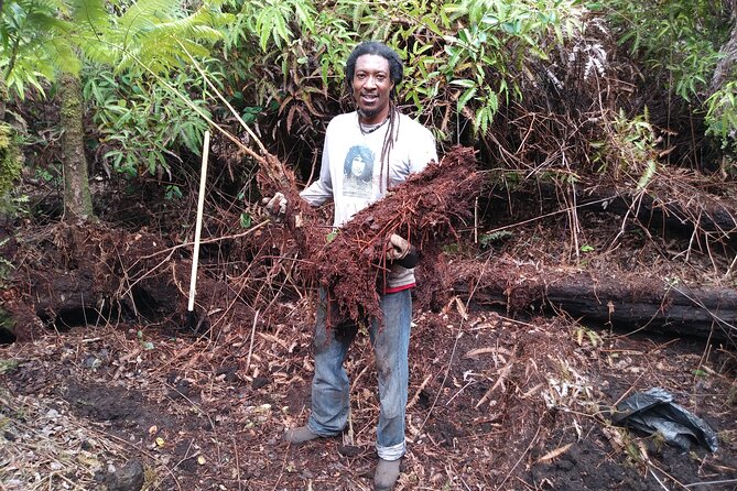 Big Island Jungle Tour with Banana and Guava Green Tea - Banana Cultivation Demonstrations