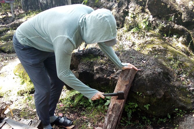 Big Island Jungle Tour with Banana and Guava Green Tea - The Outdoor Art Gallery and Latest Exhibitions