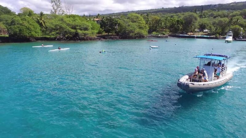 Big Island Kealakekua Bay: Captain Cook Snorkel Cruise - Snorkeling in Kealakekua Bay’s Vibrant Reef Gardens