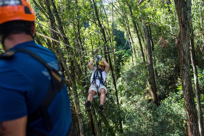 Big Island Kohala Canopy Zipline Adventure - Key Points