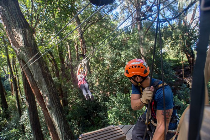 Big Island Kohala Canopy Zipline Adventure - Family-Friendly, Inclusive, and Suitable for Most Ages