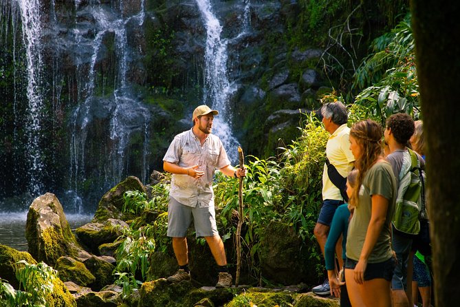 Big Island Kohala Zip and Dip Tour from Kona - Waterfall Swimming at a Mountain Stream