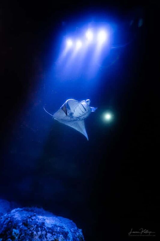 Big Island: Manta Ray Snorkel Boat Tour - What the Boat Ride to the Manta Site Looks Like