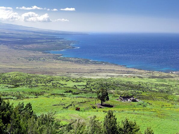 Big Island North Kohala Coast and Pololu Lookout Private Tour - Discover the Big Island North Kohala Coast and Pololu Lookout Private Tour