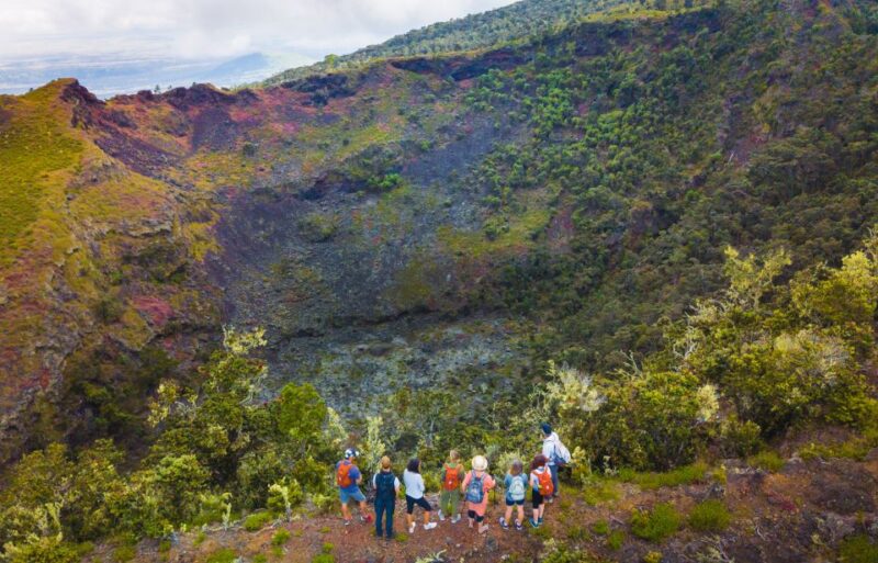 Big Island: Off the Beaten Path Volcano Crater Hike - What’s Included in the Tour