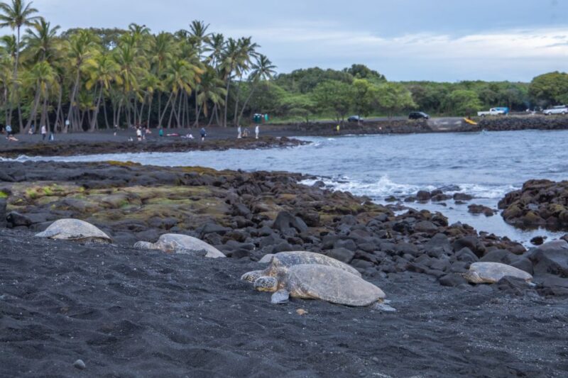 Big Island: Private Island Circle Tour with Lunch and Dinner - Lunch Amidst the Volcanoes