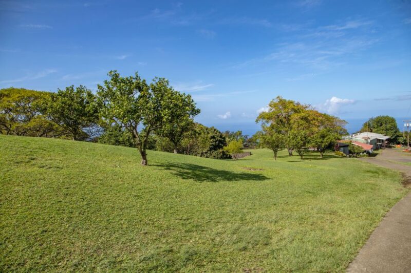 Big Island: Private Island Circle Tour with Lunch and Dinner - Scenic Drive Along the Hamakua Coast