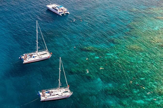 Big Island Snorkel Cruise from Waikoloa - Seasonal Whale Watching Opportunities