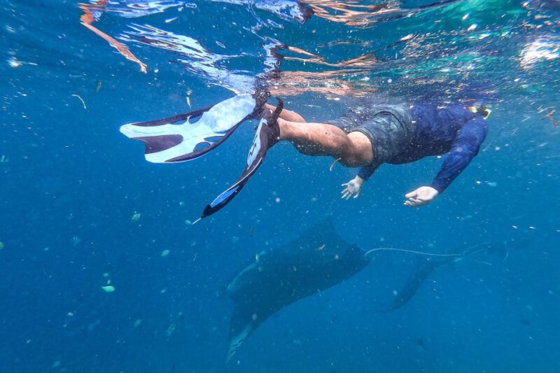 Big Island: Snorkel with Manta Rays - Manta Guarantee - The Boat and Crew: Comfortable and Professional