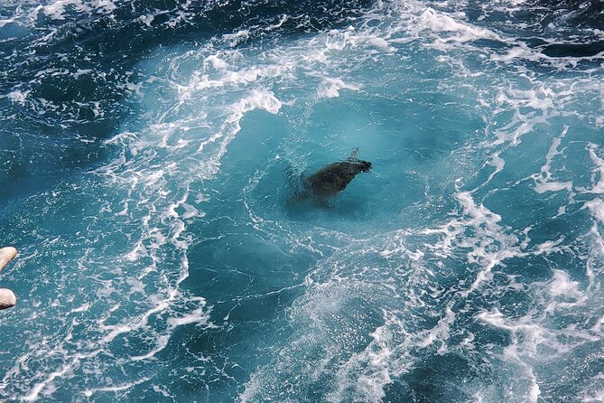 Big Island Southside ATV Tour - What Makes This ATV Tour Stand Out