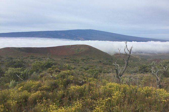 Big Island Volcano Adventure from Kona: Small Group - Comfortable Transport and Convenience