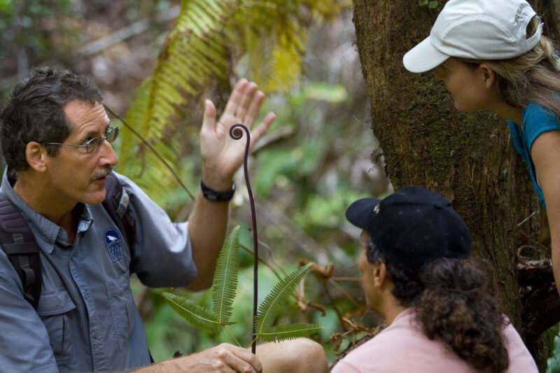 Big Island: Volcano, Chocolate & Waterfall Adventure - Rainbow Falls: The Stunning 80-Foot Cascade