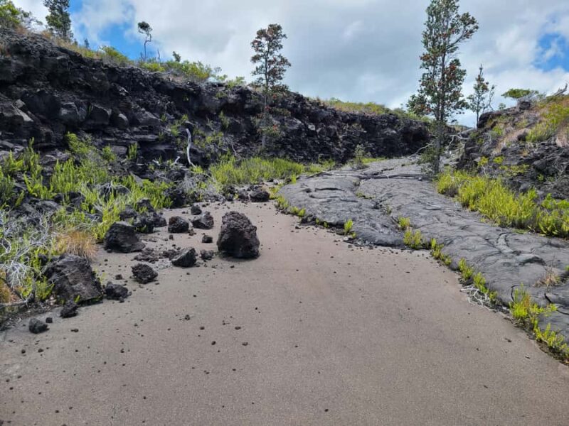 Big Island: Volcanoes National Park Private Tour - Drive Along Chain of Craters Road and Discover Lava Flows