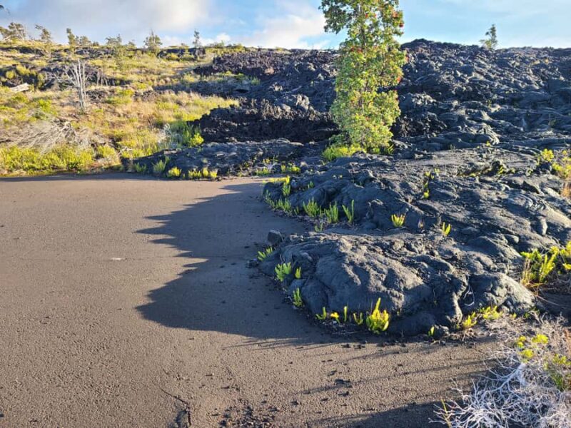 Big Island: Volcanoes National Park Private Tour - Practical Details: Meeting Point and Additional Considerations