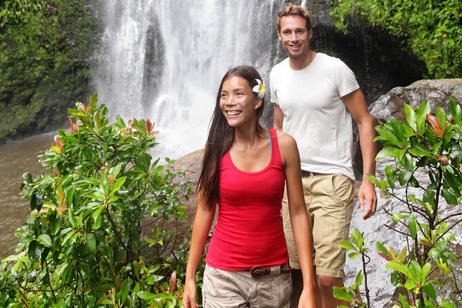 Big Island Waterfall Swim and Hike with Hilo Cruise Ship Pickup - Discover the Big Island Waterfall Swim and Hike with Hilo Cruise Ship Pickup