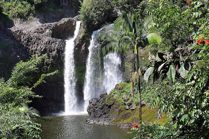 Big Island Waterfall Swim and Hike with Hilo Cruise Ship Pickup - Private Lands and Secluded Waterfalls on the Big Island