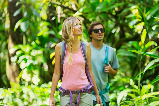 Big Island Waterfall Swim and Hike with Hilo Cruise Ship Pickup - The Value and Suitability of the Waterfall Hike Tour