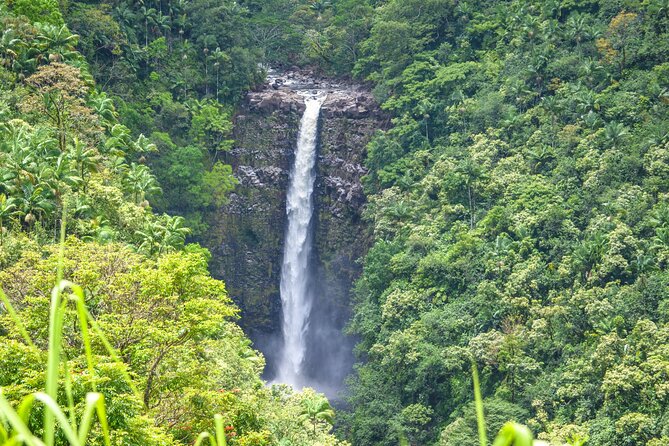 Big Island Waterfall Swim and Hike with Hilo Cruise Ship Pickup - Final Thoughts on the Big Island Waterfall Swim and Hike