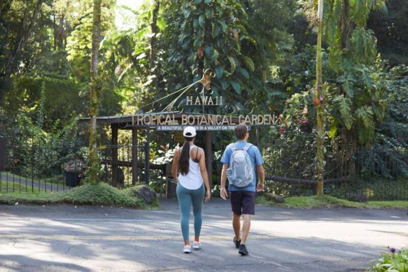 Big Island: Waterfall Tour with Swimming & Botanical Garden - Key Points