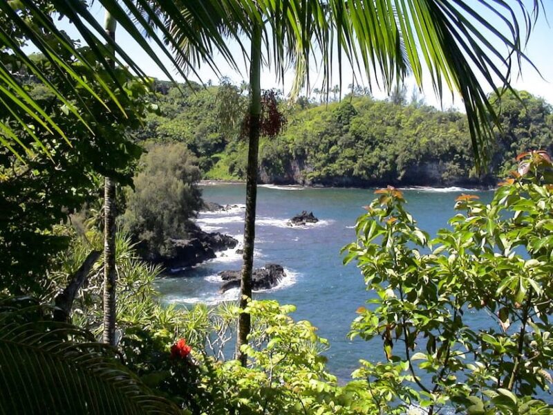 Big Island Waterfall Wonders Slingshot Tour - Easy Meeting Point and Flexible Scheduling