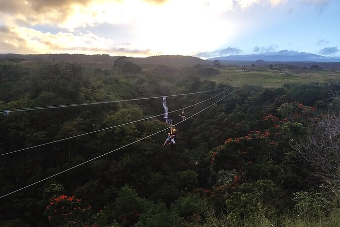 Big Island Zipline Adventure - The Longest-Running Zipline on the Big Island
