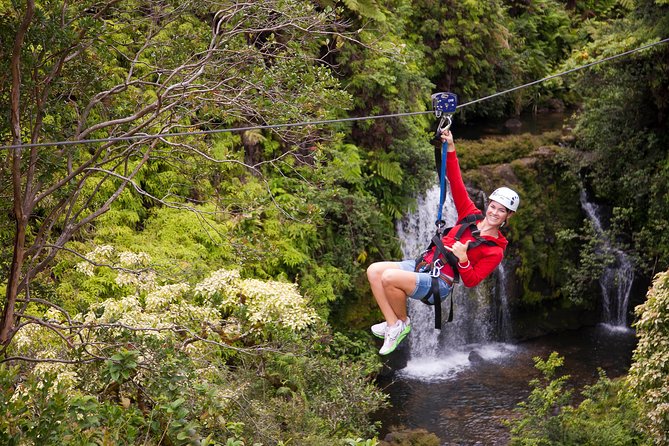 Big Island Zipline over KoleKole Falls - Physical Requirements and Safety Precautions