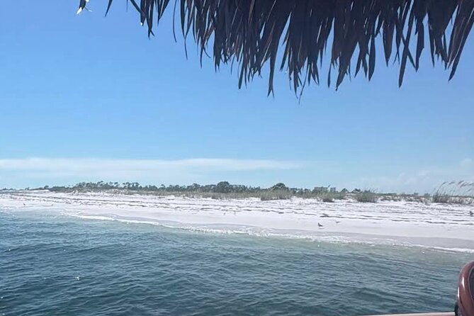 Big Kahuna Sunset Dolphin Cruise Experience - Crew and Captain: Friendly, Knowledgeable, and Engaging