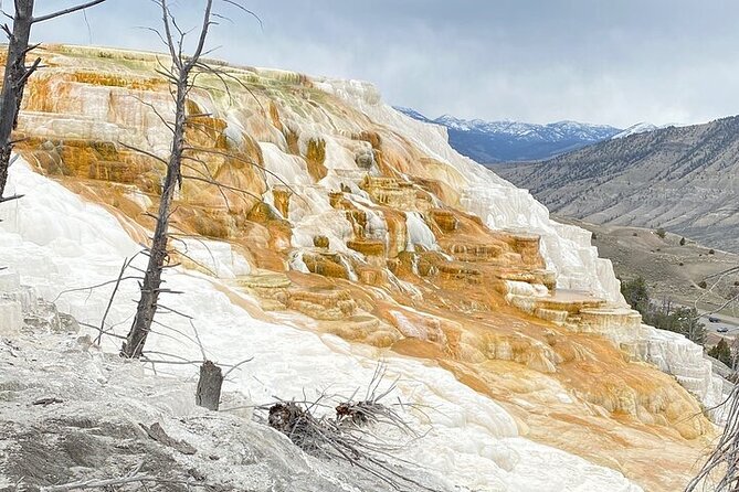 Big Sky Winter Wildlife Safari Lamar Valley Breakfast and Lunch - Mammoth Hot Springs: Unique Geological Features and Scenic Views