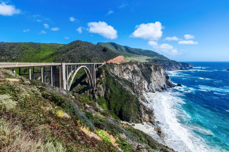Big Sur: Sightseeing Tour with 4 to 5 Stops - Marine Wildlife and Coastal Scenery