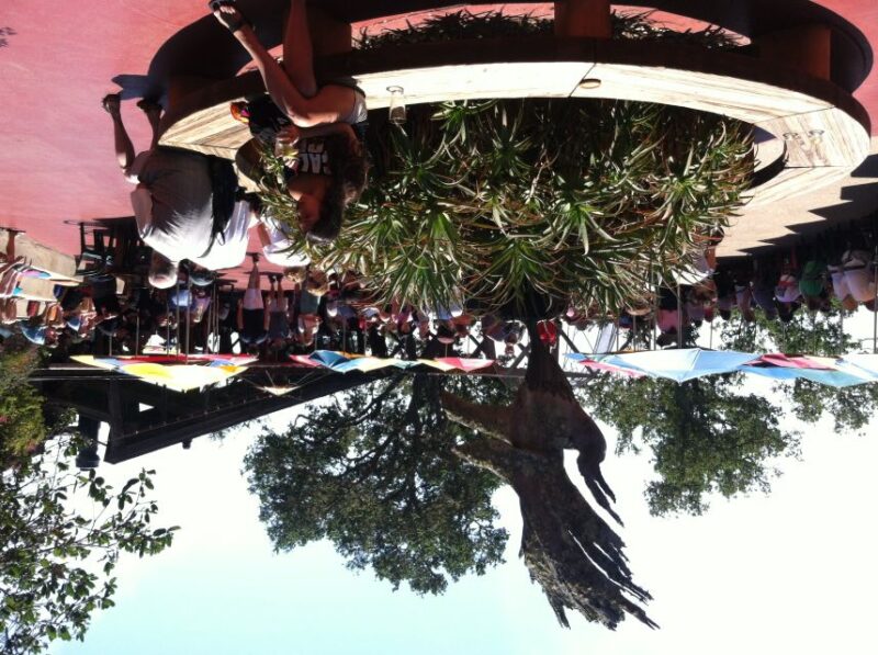 Big Sur: Sightseeing Tour with 4 to 5 Stops - Limitations and Seasonal Factors