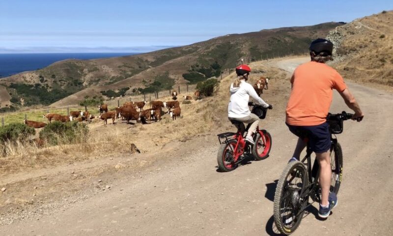 Big Sur's Old Coast Road E-Bike Tour - The Scenic 12-Mile Ride and Its Pacing