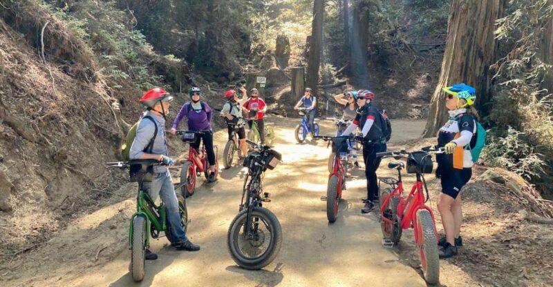 Big Sur's Old Coast Road E-Bike Tour - The Physical Challenge and Fitness Level