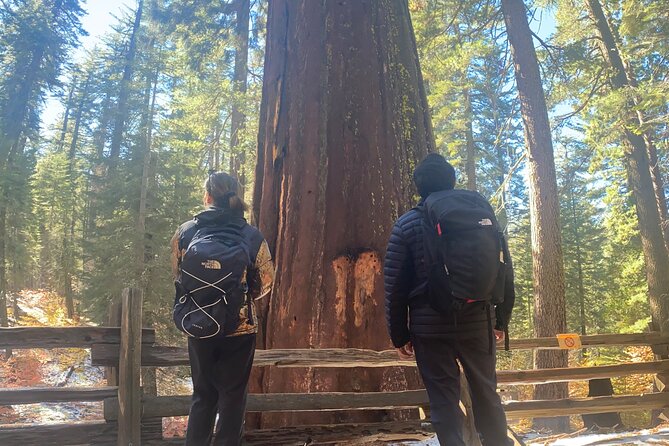 Big Trees Hike & Riverside Cookout Adventure - Key Points