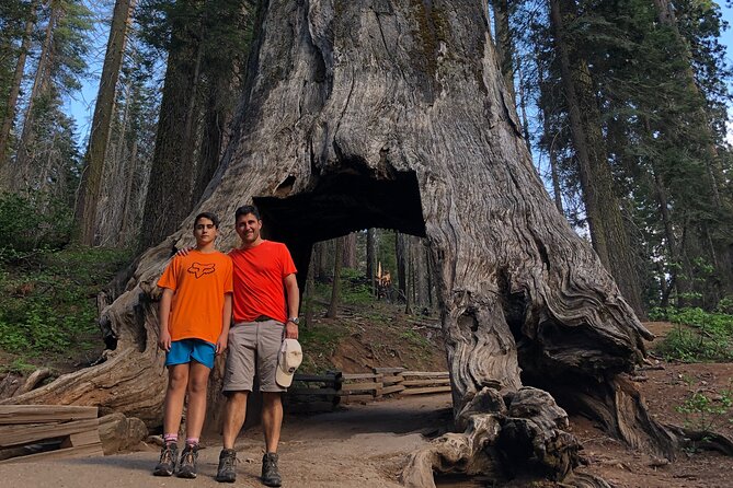 Big Trees Hike & Riverside Cookout Adventure - Yosemite’s Giant Sequoias in Detail