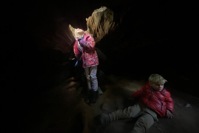 Big Trees Hike & Riverside Cookout Adventure - Physical Requirements and Suitability