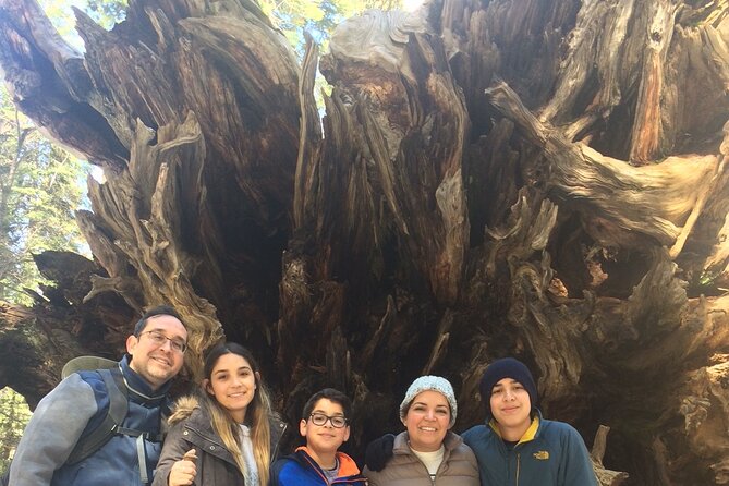 Big Trees Hike & Riverside Cookout Adventure - Pricing, Inclusions, and Booking Tips