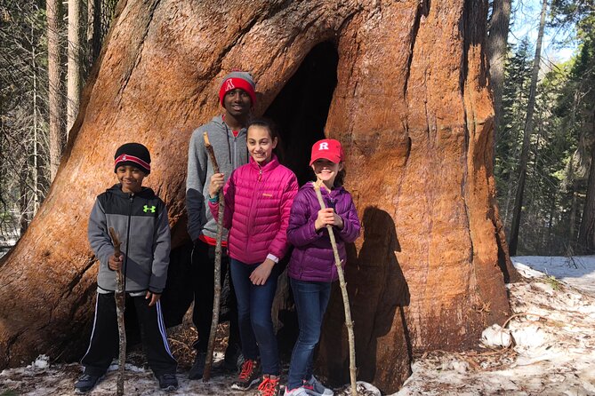 Big Trees Hike & Riverside Cookout Adventure - Why This Tour Offers a Unique Yosemite Experience