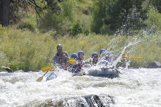 Bighorn Sheep Canyon Full Day Beginner Whitewater Rafting Tour - Key Points