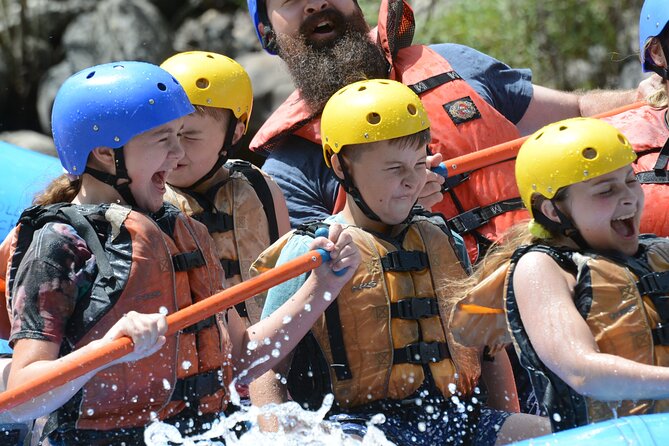 Bighorn Sheep Canyon Half-Day Rafting - Navigating Class II Whitewater Rapids