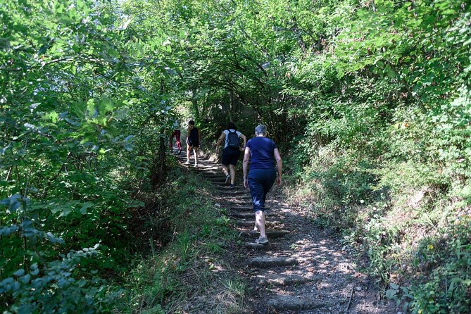 Bigorski Monastery and Duff Waterfalls from Ohrid & Struga. - Practical Details and Group Size