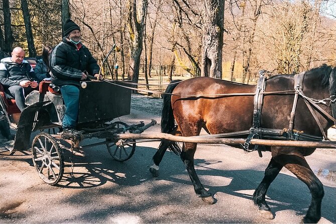 Bijambare Cave and Spring of River Bosna Tour - The Ideal Audience for This Tour