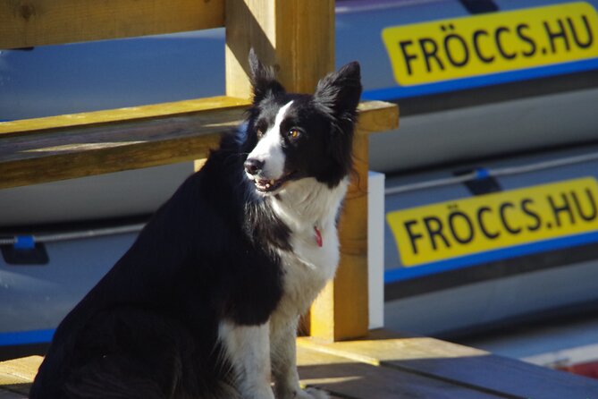 Bike, Boat & Gear Rental - Frequently Asked Questions