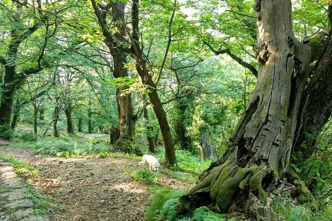 Bike & hike tour - Suitability and Recommendations